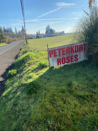 Peterkort Roses