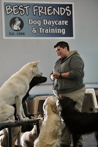 Best Friends Obedience & Agility School