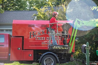 Black Diamond Tree Service, Inc