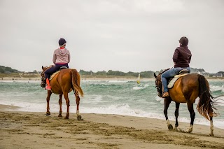 Centre Equestre de la Torche