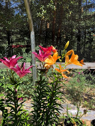 Rusk Ranch Nature Center