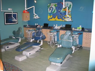 Raleigh Pediatric Dentistry: Olson David D DDS