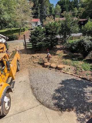 Austin's Tree Service