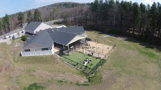 The Barkwood Inn Pet Resort