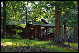 Wilderness Lakefront Resort - Broken Bow Lake Cabins