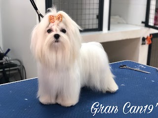 Gran Can Centro de Estética y Peluquería Canina