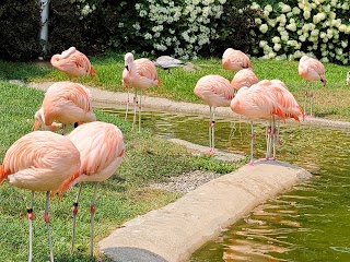 Cleveland Metroparks Zoo