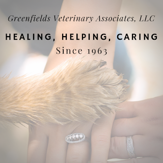 Greenfields Veterinary Associates