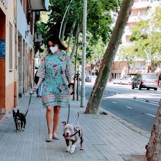 Paseador de perros y guardería canina en Barcelona Dog Mom @dogsmompaseoperrosbcn