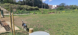 Parque canino