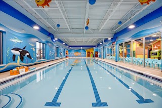 Goldfish Swim School - Grandville