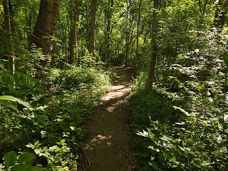 Hazel Landing Park