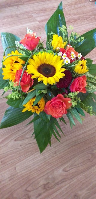 Blumen bei Siljas Flower Power