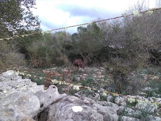 Parc Cala En Busquets