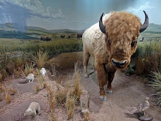 Lewis and Clark Interpretive Trails and Visitor Center (Missouri River Basin)