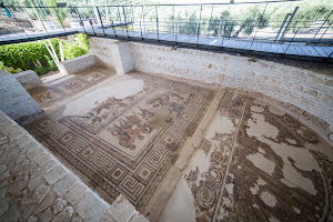 Yacimiento Arqueológico Villa Romana de Fuente Álamo