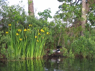 Whisperwood Lodge & Cottages