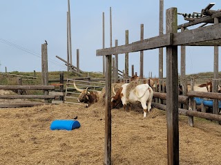 South Padre Island Adventure Park