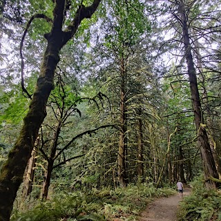 Cooper Crest Open Space