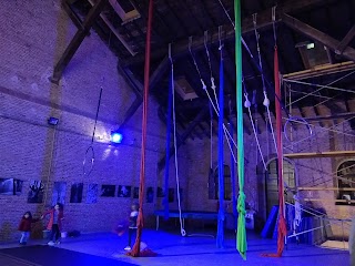 NUEVO FIELATO, el circo en Valladolid