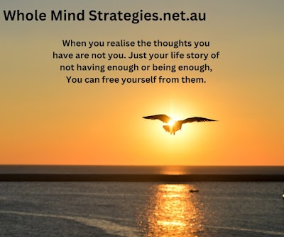 photo of Whole Mind Strategies PTY LTD