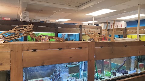 Russells Tropical Fish and Pet