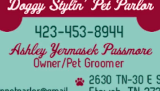 Doggy Stylin' Pet Parlor