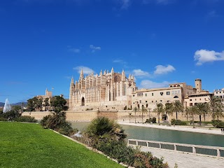 Multiservicios Mallorca