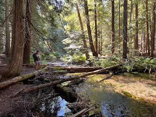 Ross Creek Cedars Scenic Area