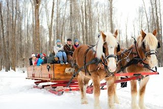 Jackson Hole Vintage Adventures