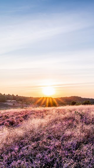 Ehrenamtliche Systemische Beratung BREDENGRUND