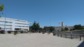 Escuela Técnica Superior de Ingenierías Agrarias de Palencia . Universidad de Valladolid (ETSIAA-UVa)