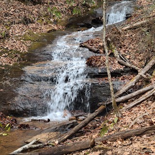 Bartram Trail: Wallace Branch to William's Pulpit