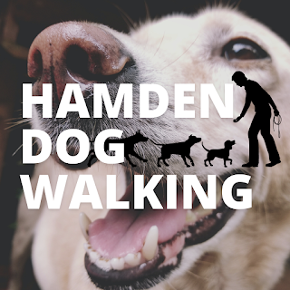 Hamden Dog Walking