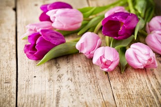 Rose Bud Flowers