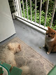 Photo of Feral Cat Spay Neuter Project - 4001 198th Street Southwest, Lynnwood, WA 98036, USA