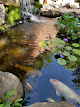 Photo of Aquatic Gardens - 1629 Floyd Bradford Road, Trussville, AL 35173, USA