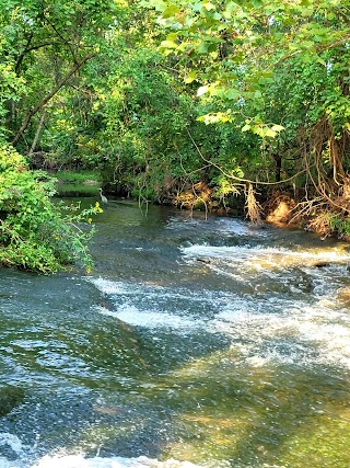 Shannon Valley Park