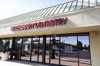 Arizona Veterinary Dental Specialists - Scottsdale