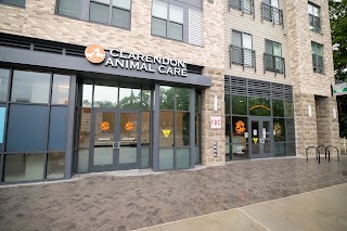 Clarendon Animal Care - Columbia Pike - South Arlington