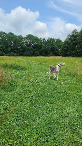 Barkingfield Park