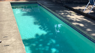 Prestige Pool maintenance