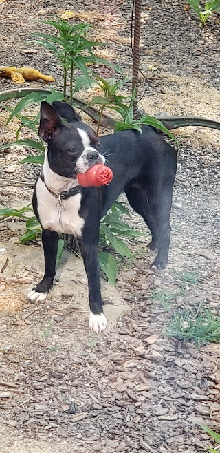 Hill's Bark Park