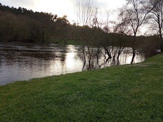 Carballeira de Campos Novos