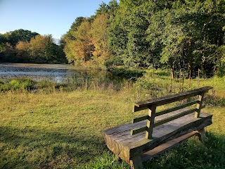 McCulloch Family Open Space