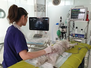 Clínica Veterinaria Vivero