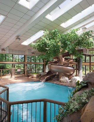 The Park Vista - a DoubleTree by Hilton Hotel - Gatlinburg