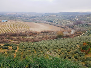 Zona Los Castellares Yacimientos