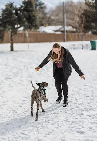 Trifecta Dog Training