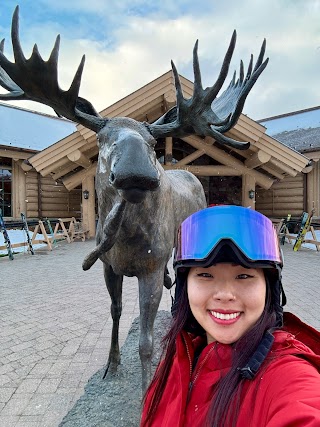 The Moose at Snowbasin